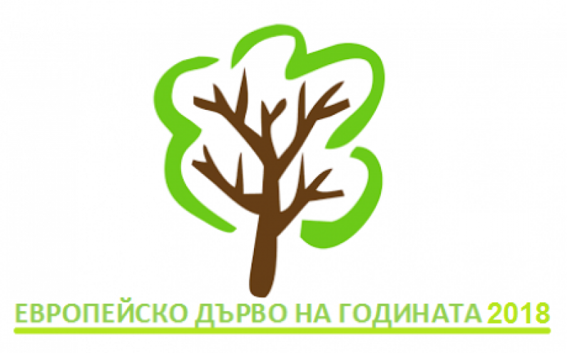 ГЛАСУВАЙТЕ В КОНКУРСА ЗА ЕВРОПЕЙСКО ДЪРВО НА ГОДИНАТА