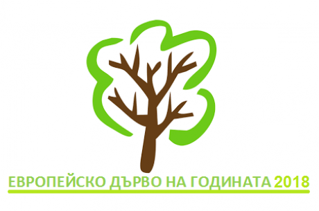 ГЛАСУВАЙТЕ В КОНКУРСА ЗА ЕВРОПЕЙСКО ДЪРВО НА ГОДИНАТА