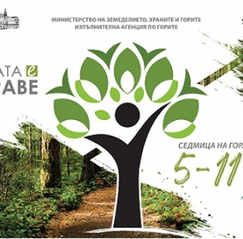 СЕДМИЦА НА ГОРАТА В БЪЛГАРИЯ!