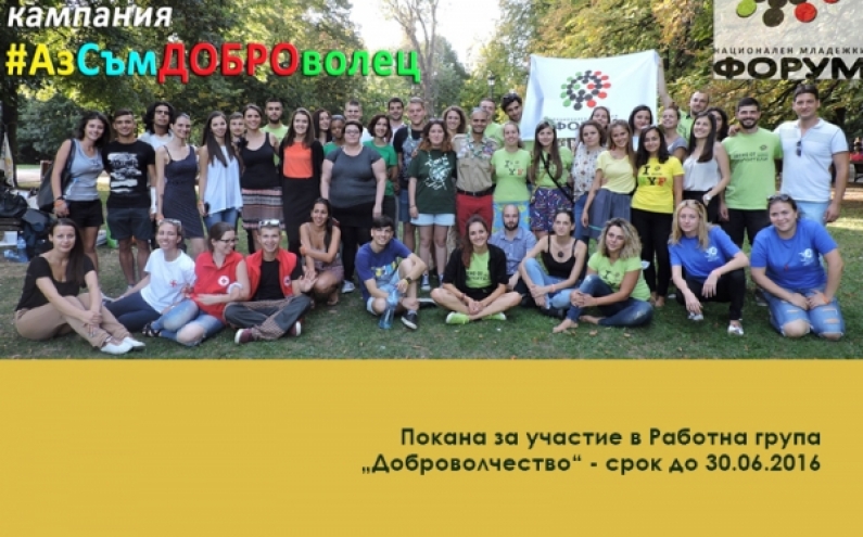 ПОКАНА ЗА УЧАСТИЕ В РАБОТНА ГРУПА „ДОБРОВОЛЧЕСТВО“ КЪМ НМФ