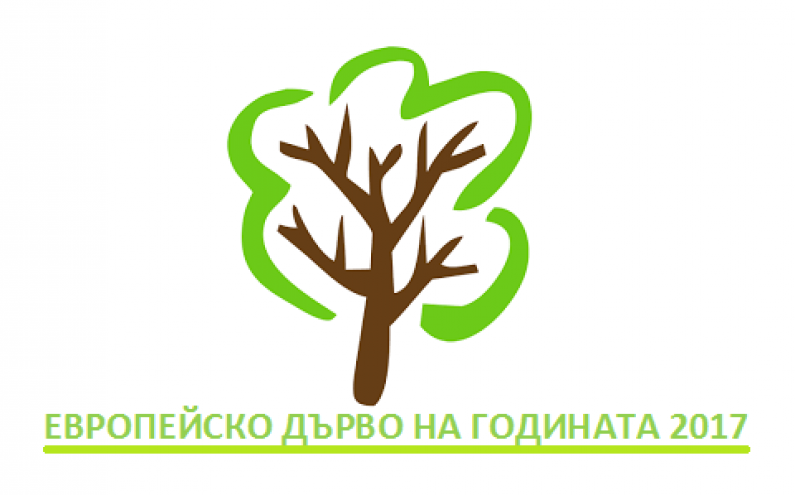 ГЛАСУВАНЕТО ЗА „ЕВРОПЕЙСКО ДЪРВО НА ГОДИНАТА 2017“ СТАРТИРА НА 1 ФЕВРУАРИ 2017 Г.